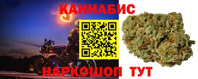 трава Аргун