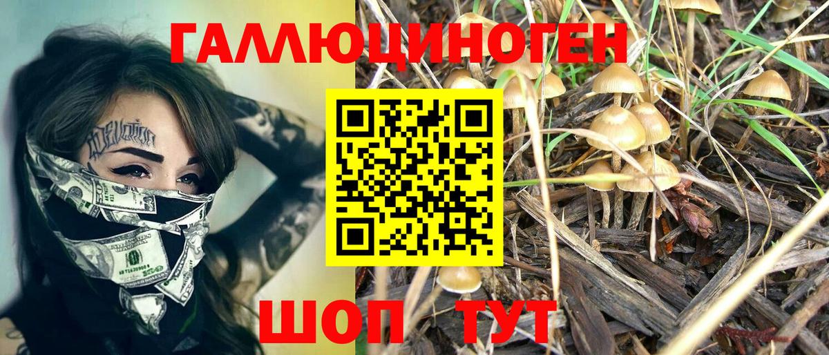 Псилоцибиновые грибы прущие грибы  Галлюциногенные грибы мухоморы  Вход с VPN  Великий Устюг 